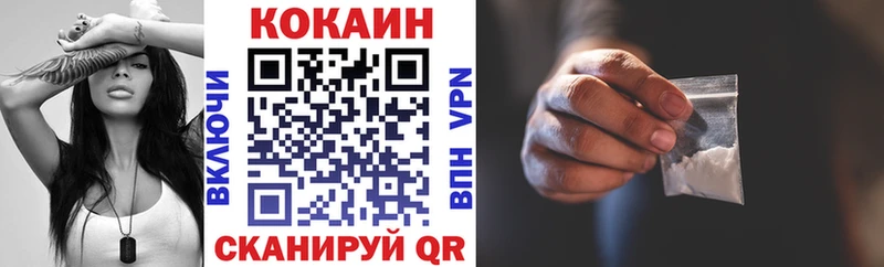 Купить  Вельск  COCAIN FishScale 