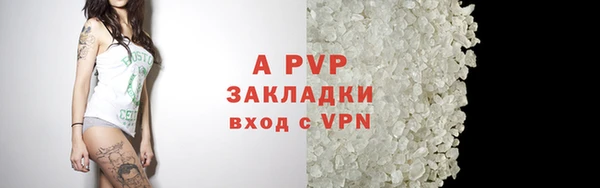 прущие крисы Корсаков