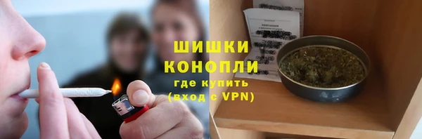 прущие крисы Корсаков